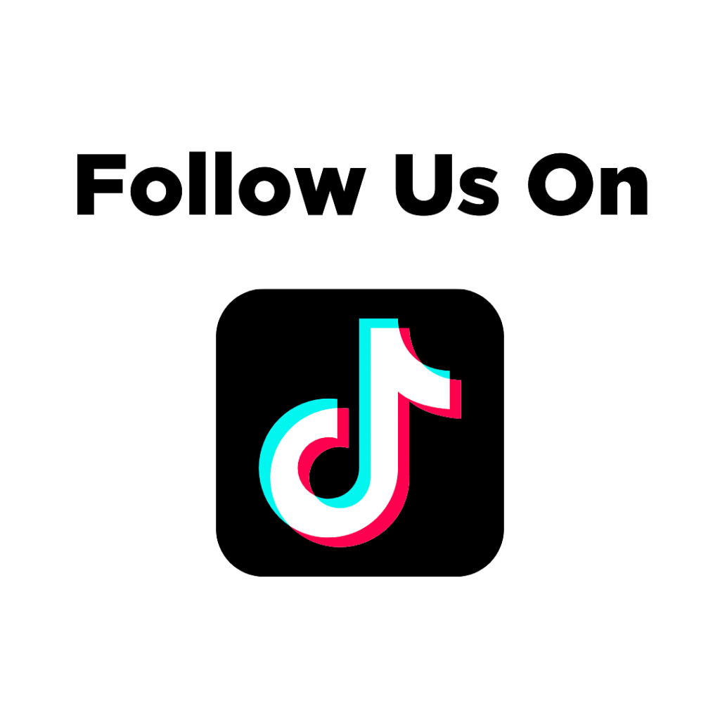 suivez nous tiktok border collie
